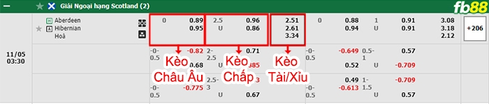 Fb88 bảng kèo trận đấu Aberdeen vs Hibernian