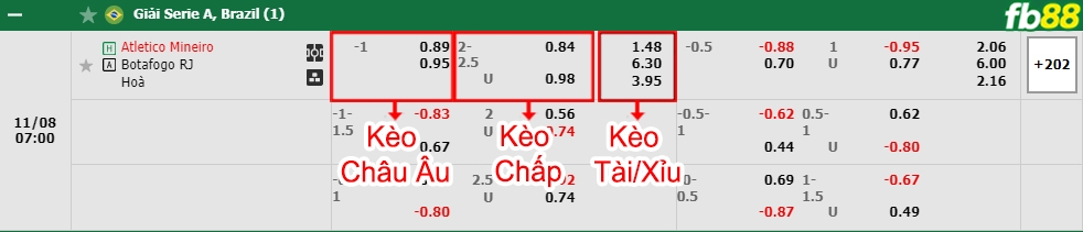 Fb88 bảng kèo trận đấu Atletico Mineiro vs Botafogo