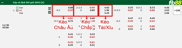 Fb88 bảng kèo trận đấu Iran vs Mỹ