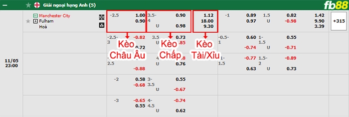Fb88 bảng kèo trận đấu Man City vs Fulham