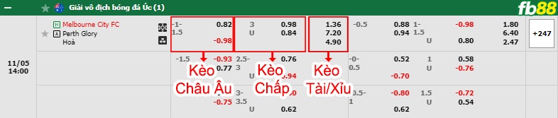 Fb88 bảng kèo trận đấu Melbourne City vs Perth Glory