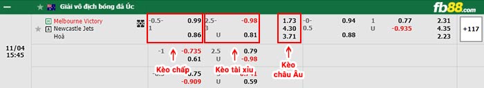 fb88-bảng kèo trận đấu Melbourne Victory vs Newcastle Jets