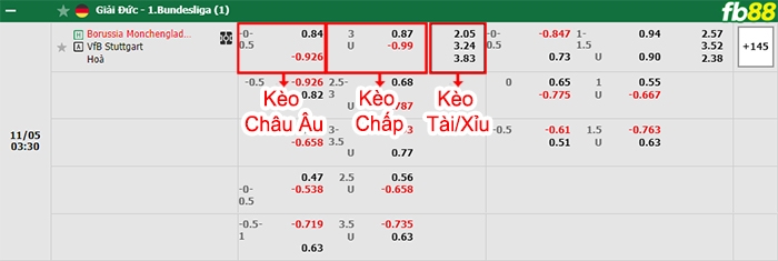 Fb88 bảng kèo trận đấu Monchengladbach vs Stuttgart