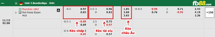 fb88-bảng kèo trận đấu Munchen 1860 vs Essen