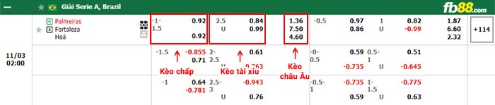 fb88-bảng kèo trận đấu Palmeiras vs Fortaleza