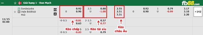 fb88-bảng kèo trận đấu Sonderjyske vs Vejle