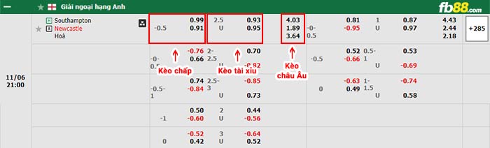 fb88-bảng kèo trận đấu Southampton vs Newcastle