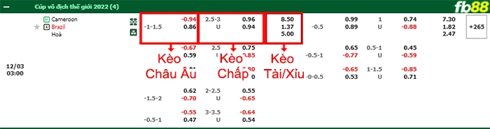 Fb88 bảng kèo trận đấu Cameroon vs Brazil