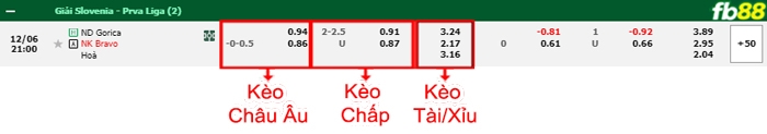 Fb88 bảng kèo trận đấu Gorica vs Bravo