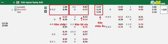 fb88-bảng kèo trận đấu Leicester vs Newcastle