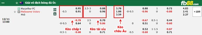 fb88-bảng kèo trận đấu Macarthur vs Melbourne Victory