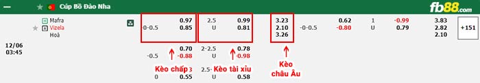 fb88-bảng kèo trận đấu Mafra vs Vizela