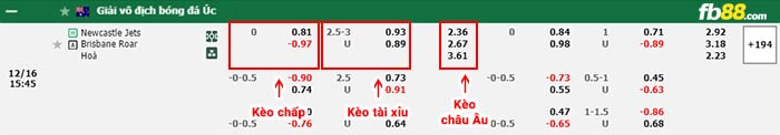 fb88-bảng kèo trận đấu Newcastle Jets vs Brisbane Roar