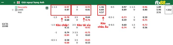 fb88-bảng kèo trận đấu Newcastle vs Leeds