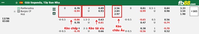 fb88-bảng kèo trận đấu Ponferradina vs Burgos