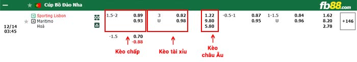 fb88-bảng kèo trận đấu Sporting Lisbon vs Maritimo