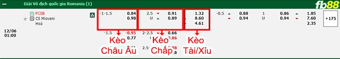 Fb88 bảng kèo trận đấu Steaua Bucuresti vs Mioveni