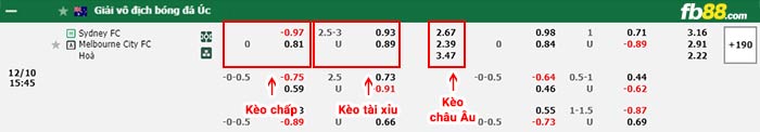 fb88-bảng kèo trận đấu Sydney FC vs Melbourne City