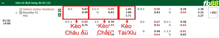 Fb88 bảng kèo trận đấu Western Sydney vs Macarthur