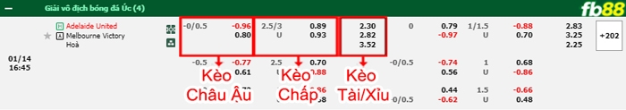 Fb88 bảng kèo trận đấu Adelaide vs Melbourne Victory