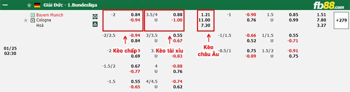 fb88-bảng kèo trận đấu Bayern Munich vs Koln