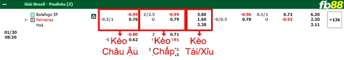 Fb88 bảng kèo trận đấu Botafogo vs Palmeiras