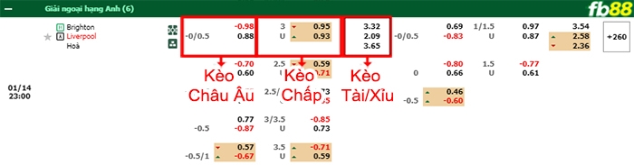 Fb88 bảng kèo trận đấu Brighton vs Liverpool
