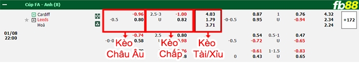 Fb88 bảng kèo trận đấu Cardiff vs Leeds