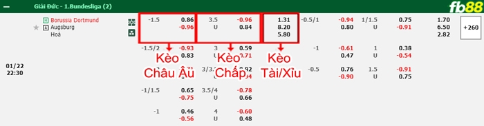 Fb88 bảng kèo trận đấu Dortmund vs Augsburg