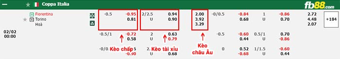 fb88-bảng kèo trận đấu Fiorentina vs Torino