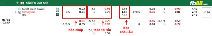 fb88-bảng kèo trận đấu Forest Green vs Birmingham