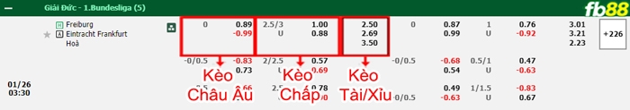 Fb88 bảng kèo trận đấu Freiburg vs Frankfurt