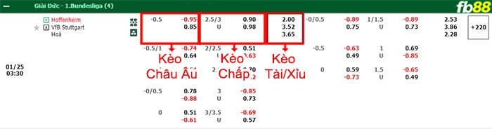 Fb88 bảng kèo trận đấu Hoffenheim vs Stuttgart