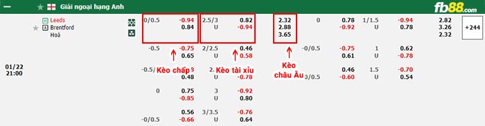 fb88-bảng kèo trận đấu Leeds vs Brentford