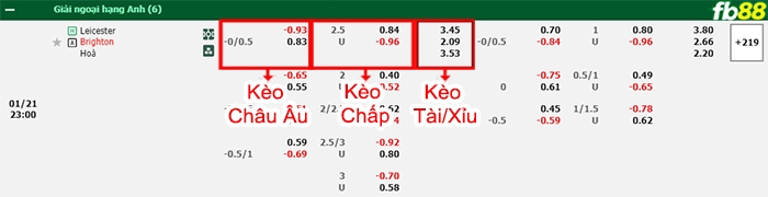 Fb88 bảng kèo trận đấu Leicester vs Brighton