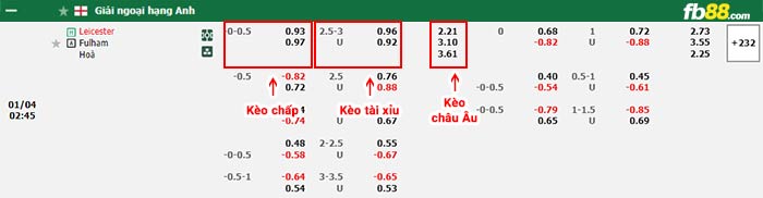 fb88-bảng kèo trận đấu Leicester vs Fulham