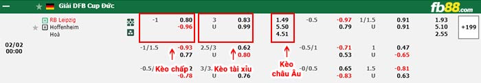 fb88-bảng kèo trận đấu Leipzig vs Hoffenheim