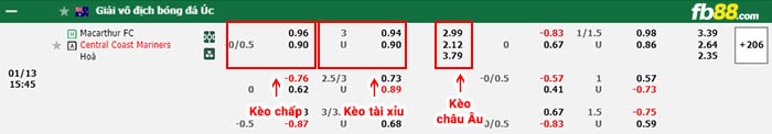 fb88-bảng kèo trận đấu Macarthur vs Central Coast