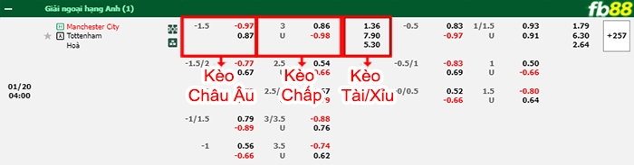 Fb88 bảng kèo trận đấu Man City vs Tottenham