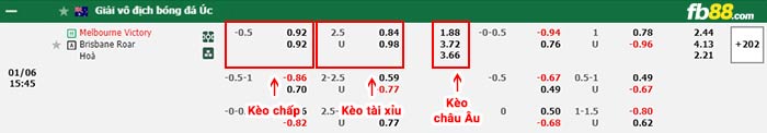 fb88-bảng kèo trận đấu Melbourne Victory vs Brisbane Roar