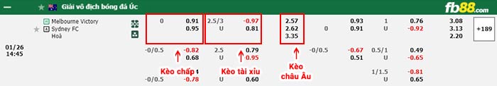 fb88-bảng kèo trận đấu Melbourne Victory vs Sydney
