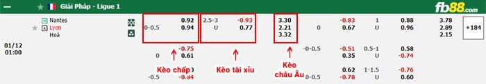 fb88-bảng kèo trận đấu Nantes vs Lyon