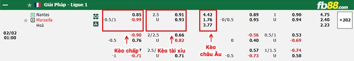 fb88-bảng kèo trận đấu Nantes vs Marseille