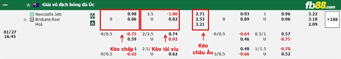 fb88-bảng kèo trận đấu Newcastle Jets vs Brisbane Roar