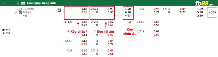 fb88-bảng kèo trận đấu Newcastle vs Fulham