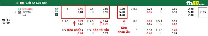 fb88-bảng kèo trận đấu Newcastle vs Leicester