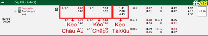 Fb88 bảng kèo trận đấu Newcastle vs Southampton