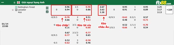 fb88-bảng kèo trận đấu Nottingham vs Leicester