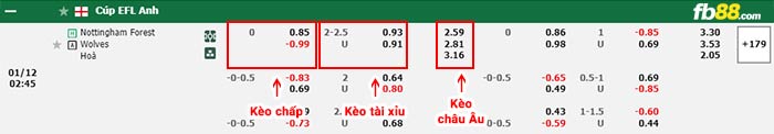 fb88-bảng kèo trận đấu Nottingham vs Wolves