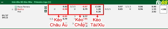 Fb88 bảng kèo trận đấu Pacos Ferreira vs Benfica